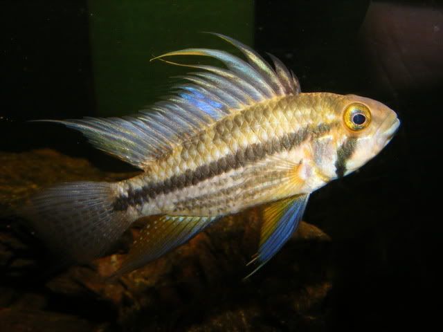 DSCF4801-1.jpg