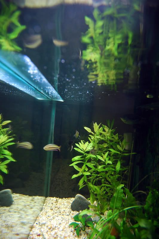 tank4.jpg