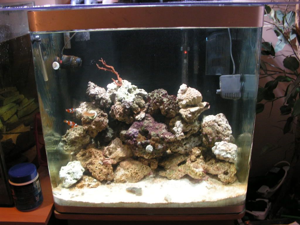 PICT1100.jpg
