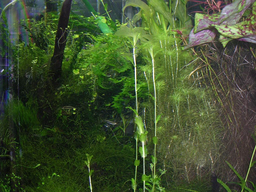 DSCN3072.jpg