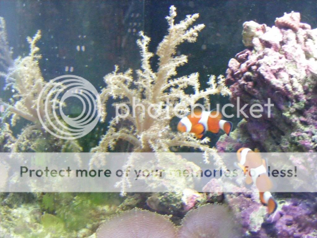 DSCF2860.jpg
