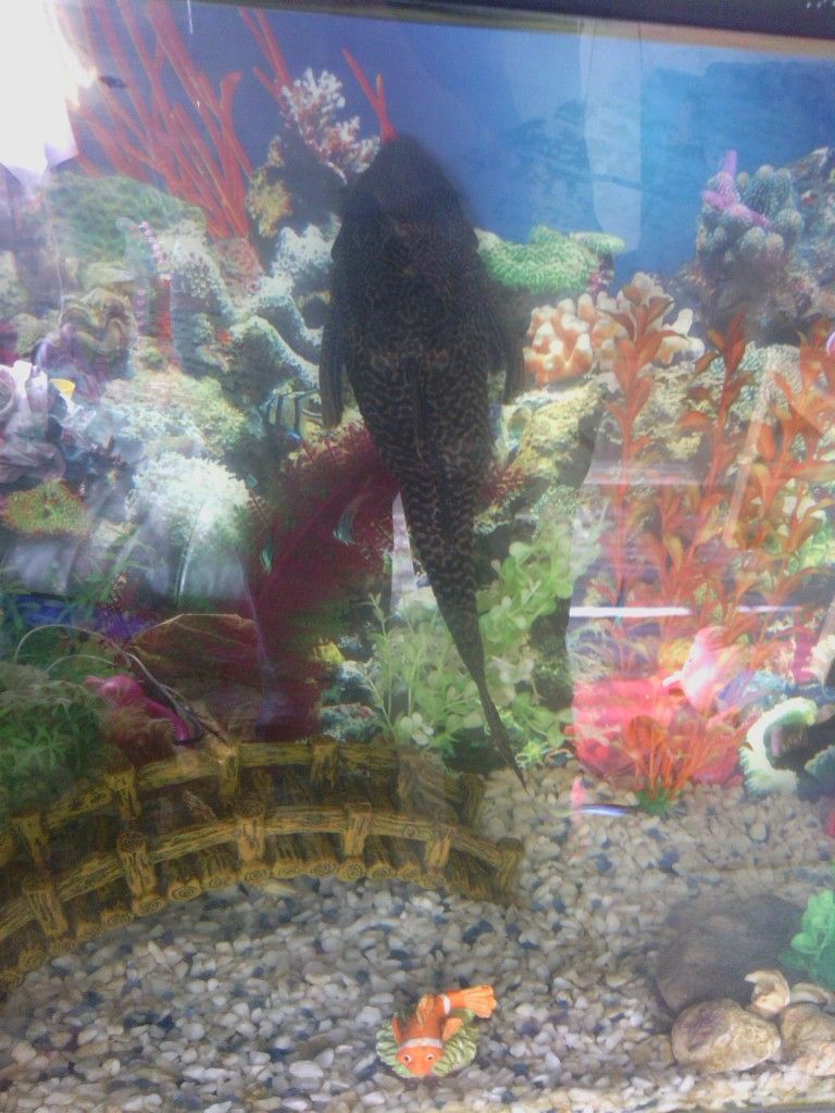 IMG_20120823_121247.jpg