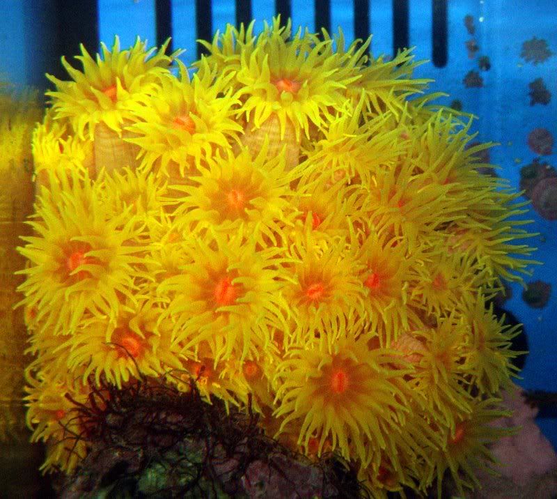 DSCF8153.jpg