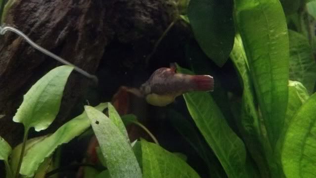 2012-07-31_19-08-24_400.jpg