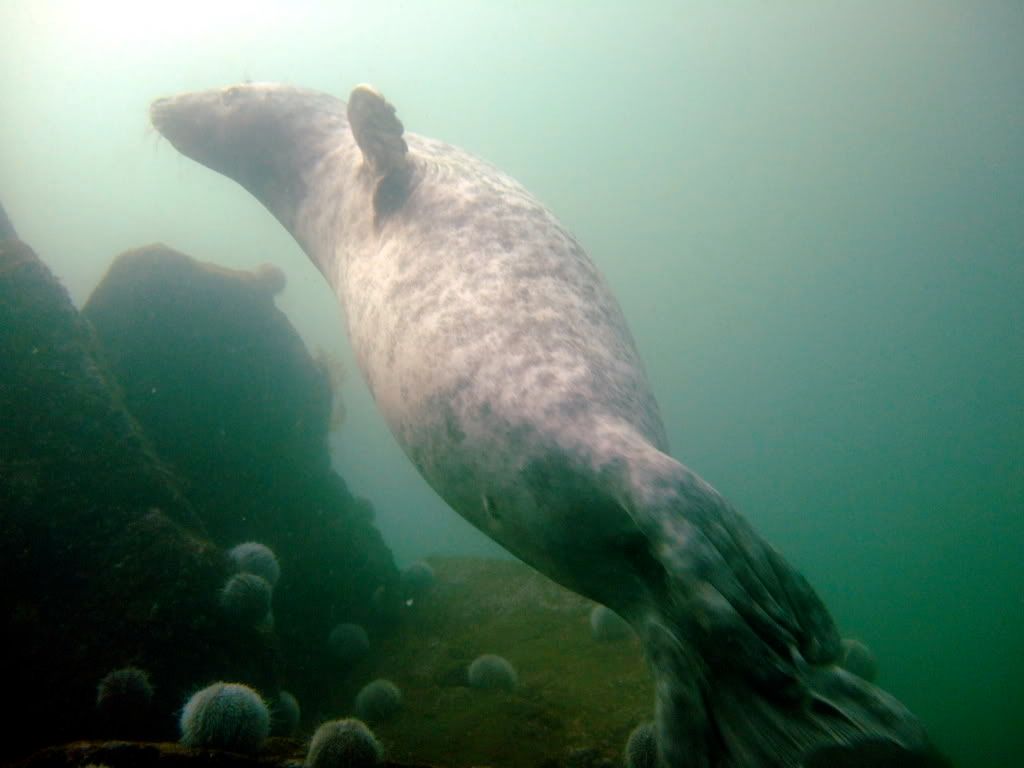 DSCF6298.jpg