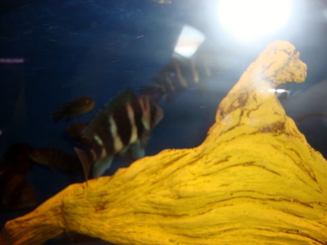 DSC01366.jpg