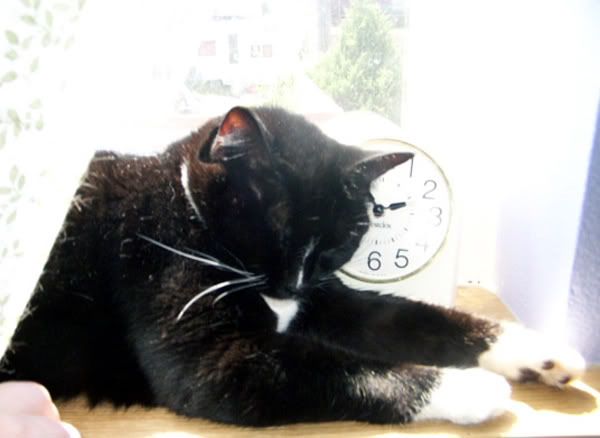 Fleury_Sleeping.jpg