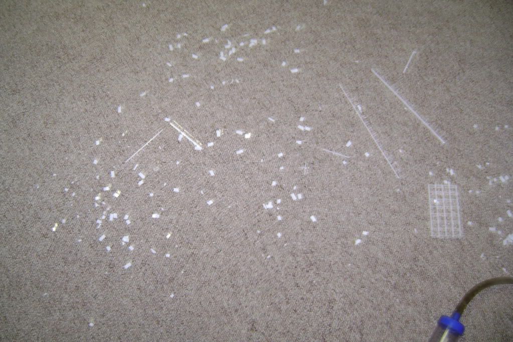 010-28.jpg