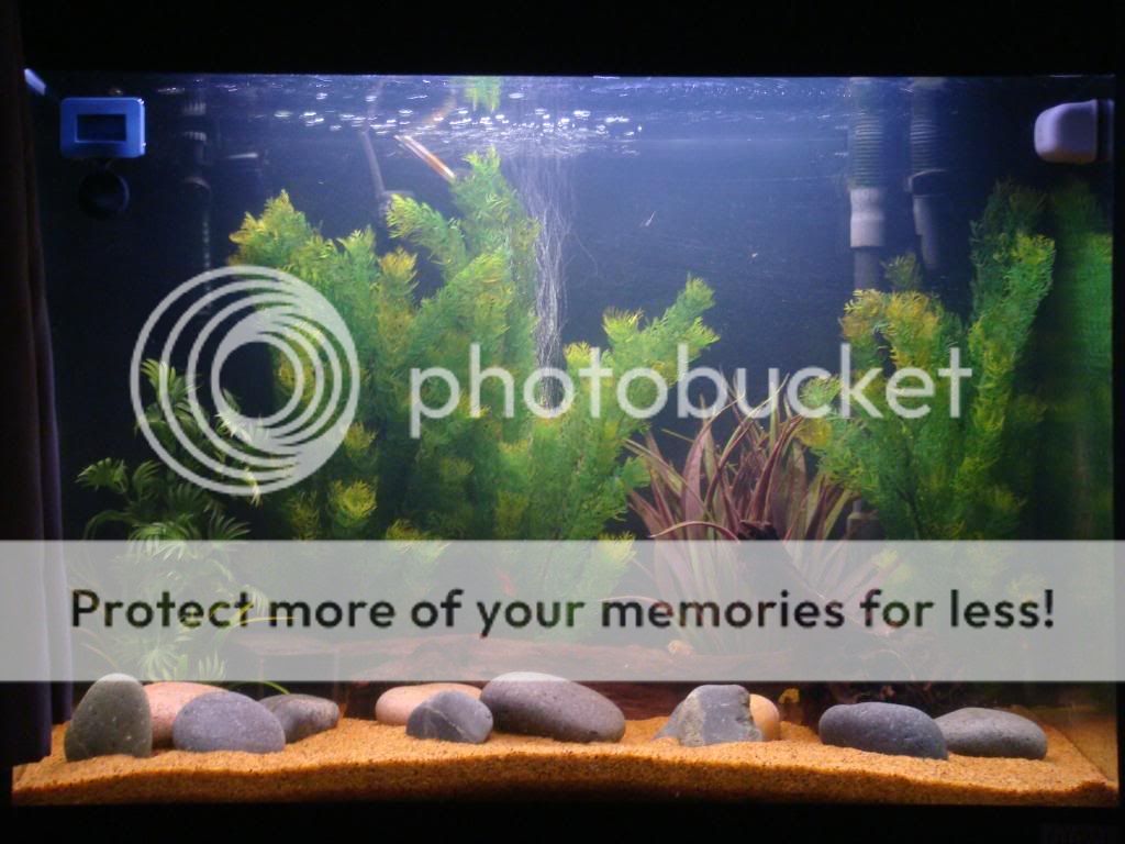 DSC00617.jpg