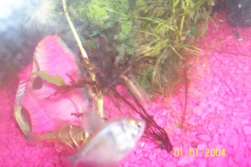 100_1205.jpg