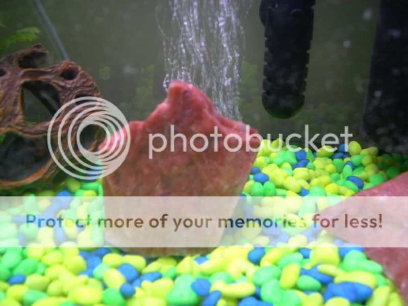 ImportedPhotos00001.jpg