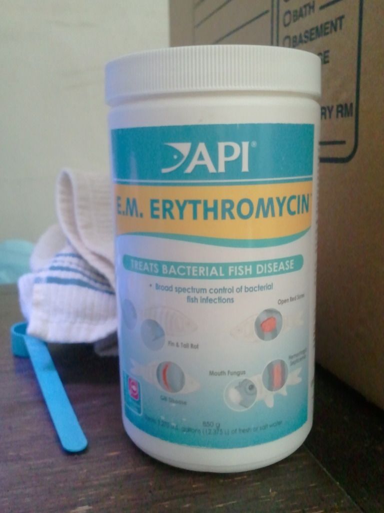 2012-08-07114906.jpg