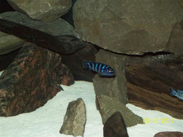 102_3682Small.jpg