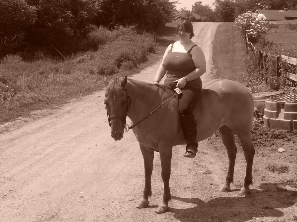 horse024.jpg