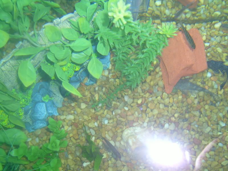 S7000969.jpg