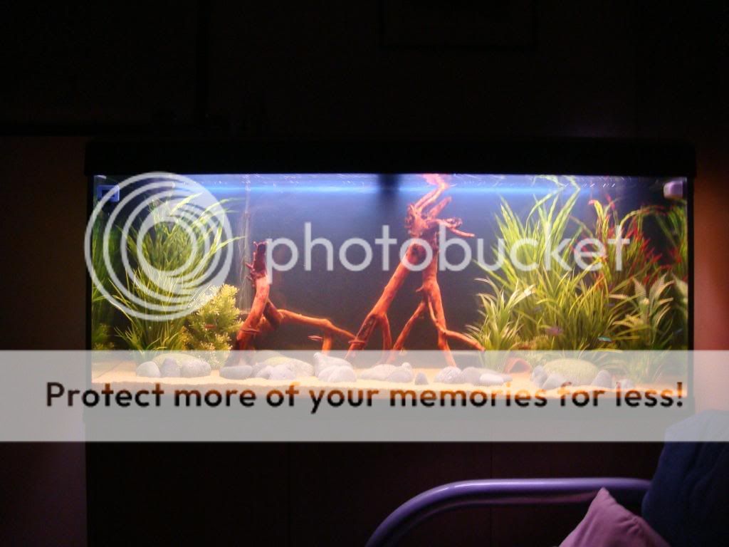 DSC00622.jpg