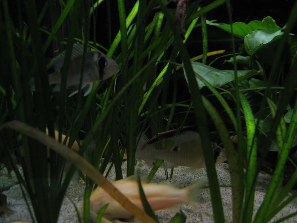 IMG_1173.jpg