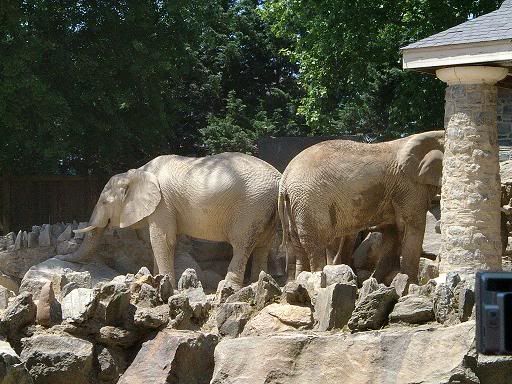 relayzoo032.jpg