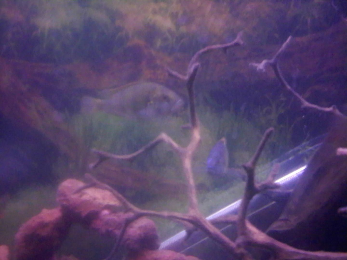 0520090104.jpg