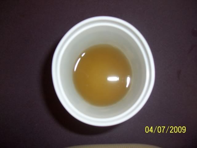 100_5231.jpg