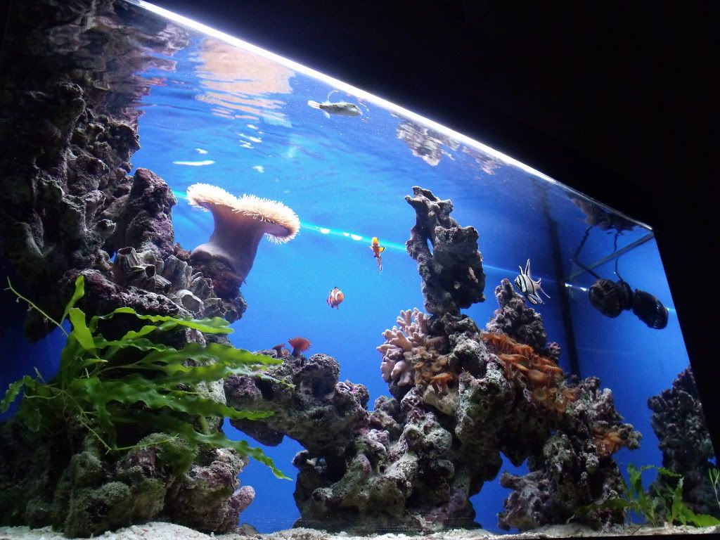 DSCF3291.jpg