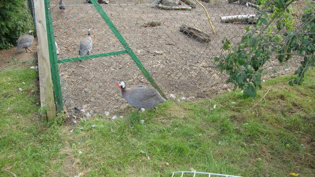DSC01675.jpg