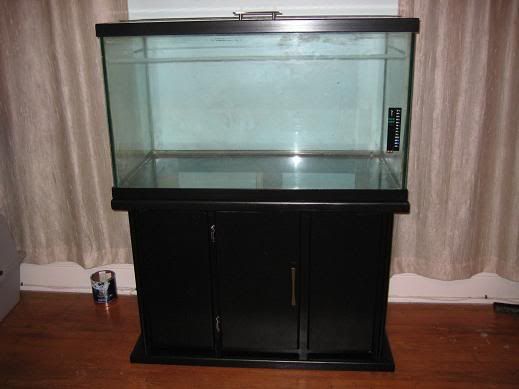 fish199-1.jpg