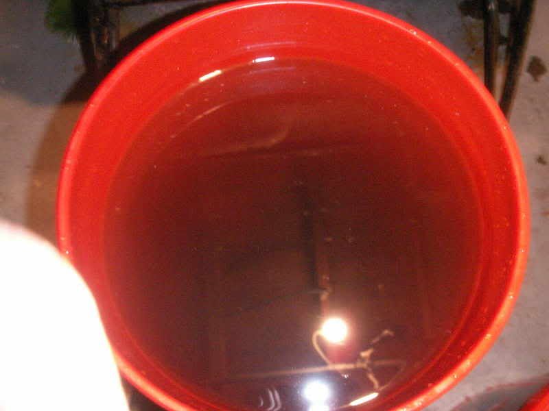 PICT0005_00.jpg