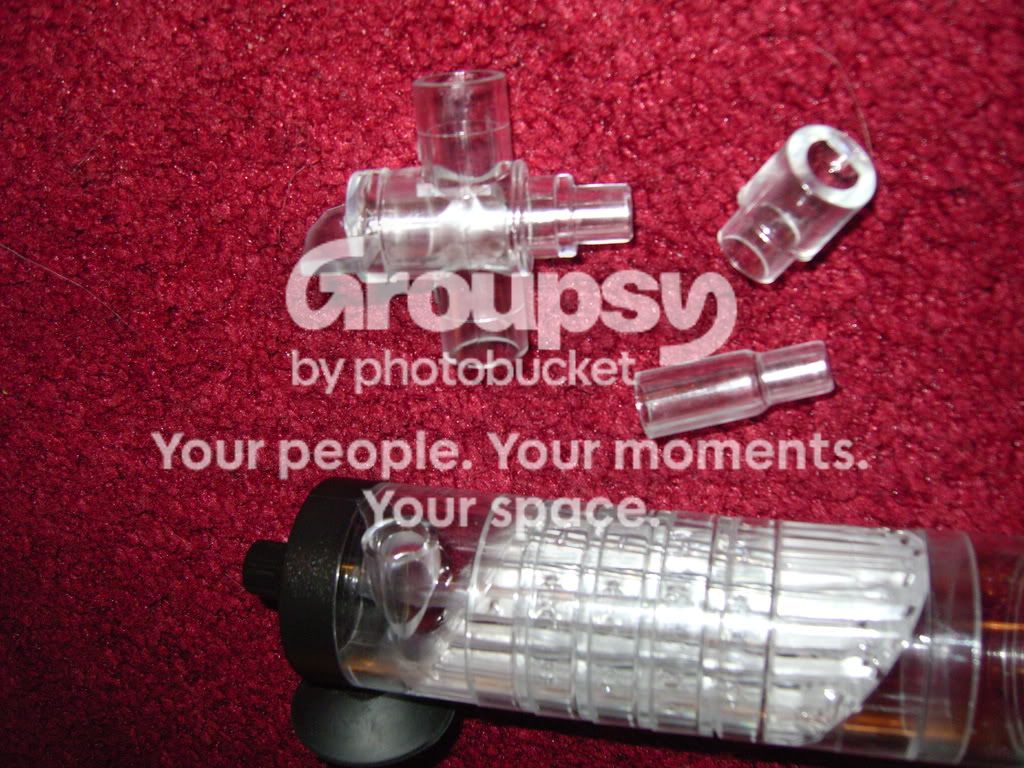 LPIC0361.jpg