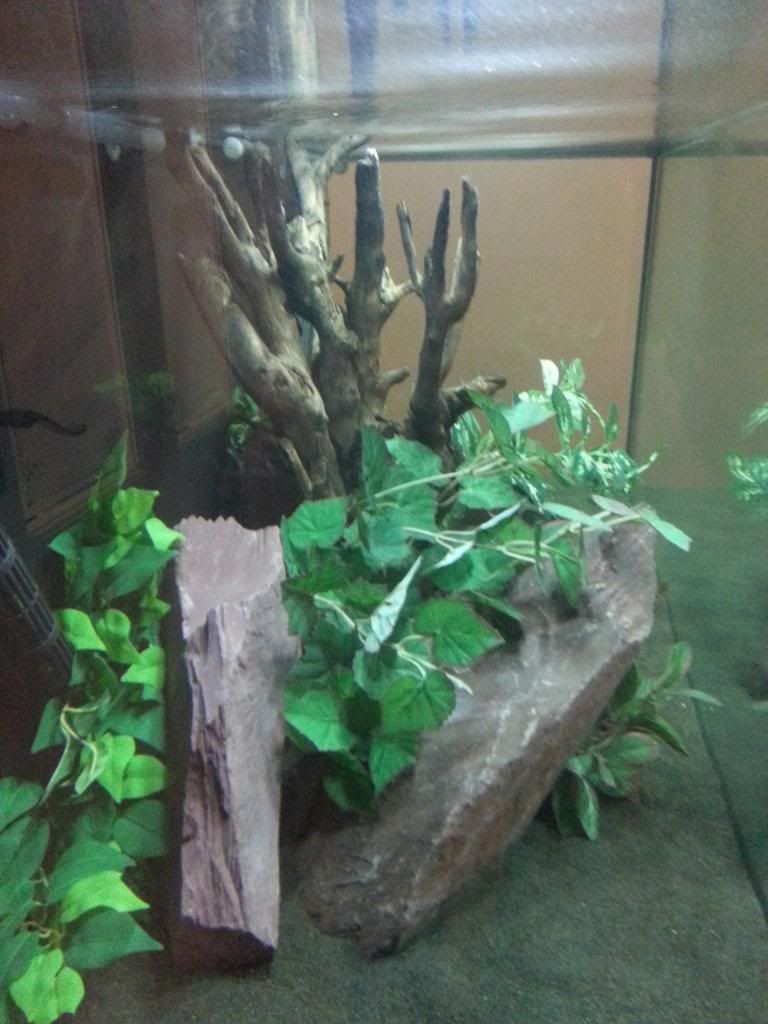 Wood2_zpscfd0500d.jpg