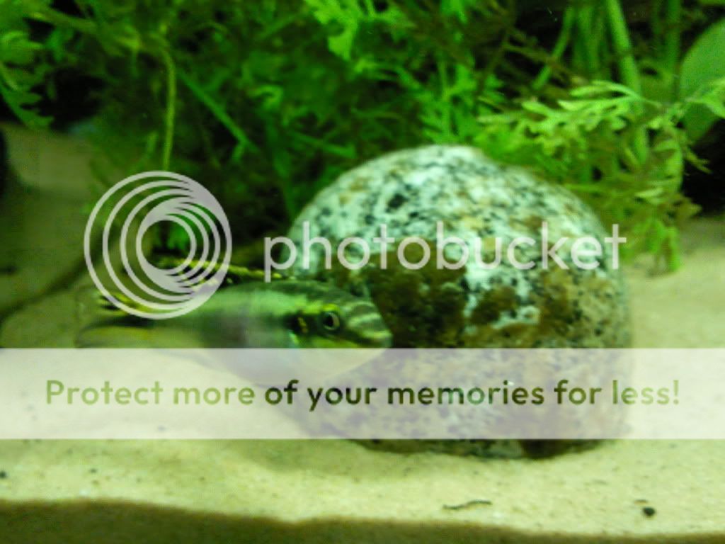 Photo007Dmp.jpg