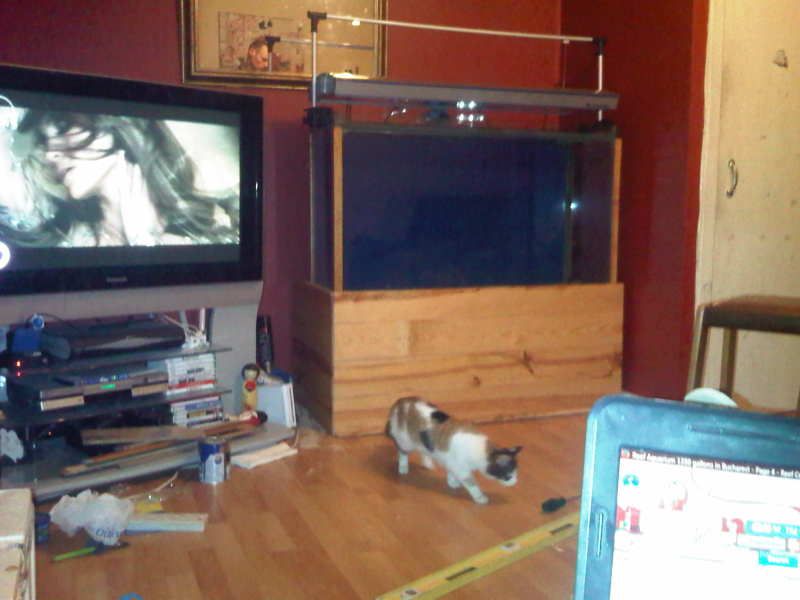 IMG00278-20110403-2107.jpg
