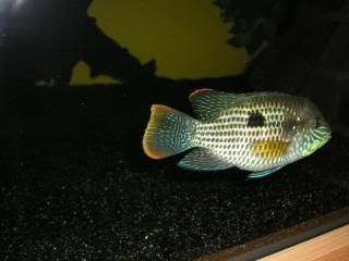 DSCN1853.jpg