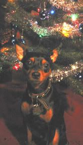100-0069_IMG.jpg