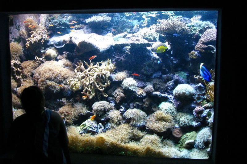 saltwater13.jpg