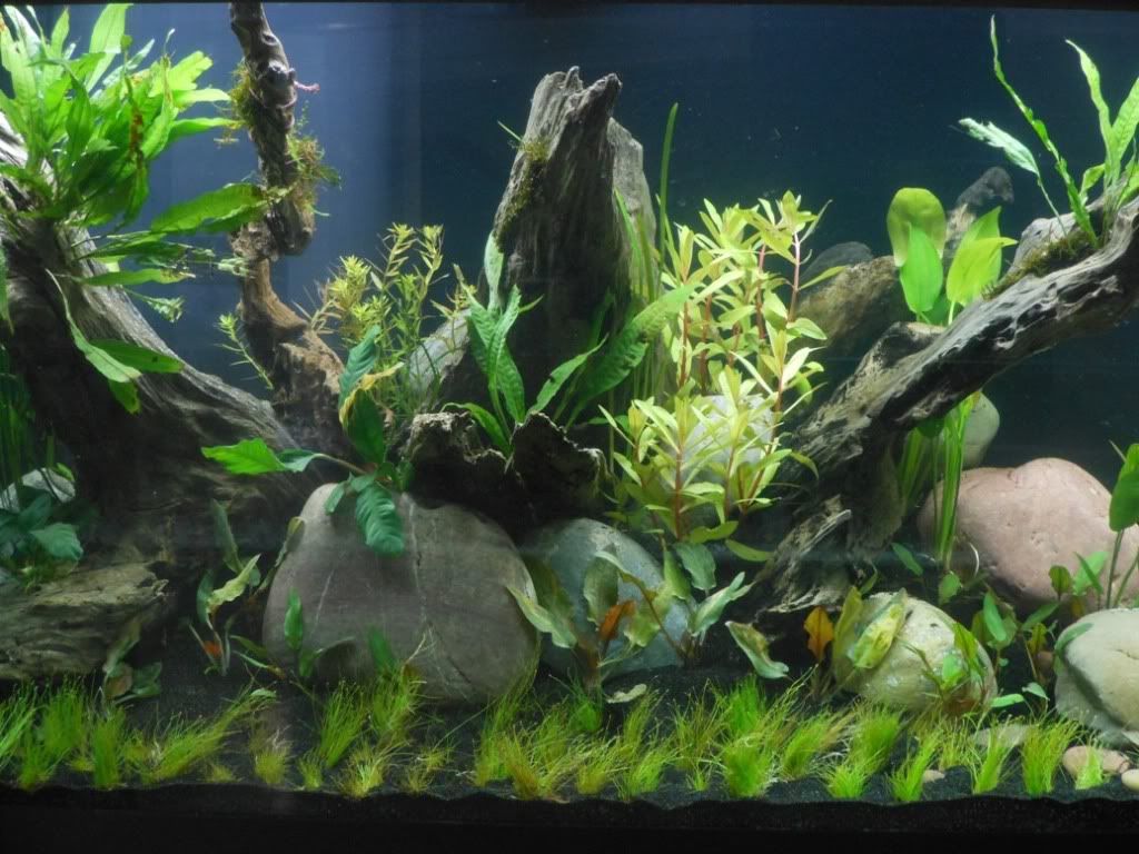 DayFour006.jpg