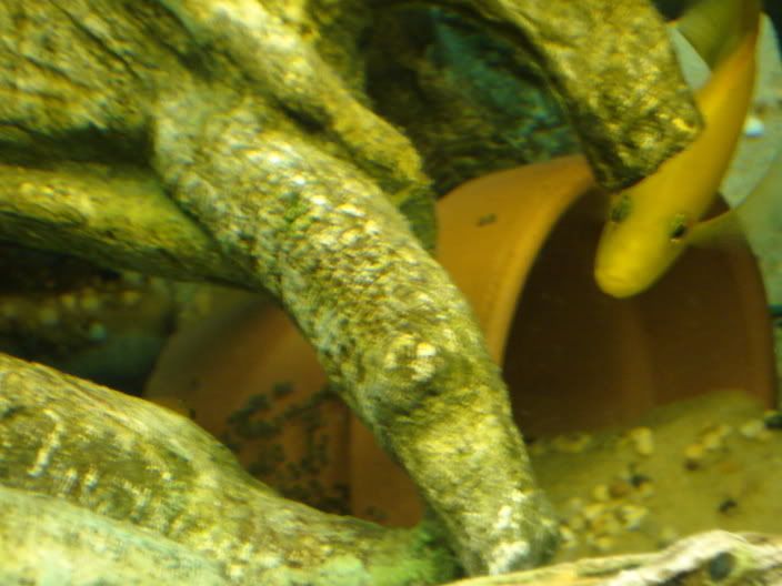 DSC00439.jpg