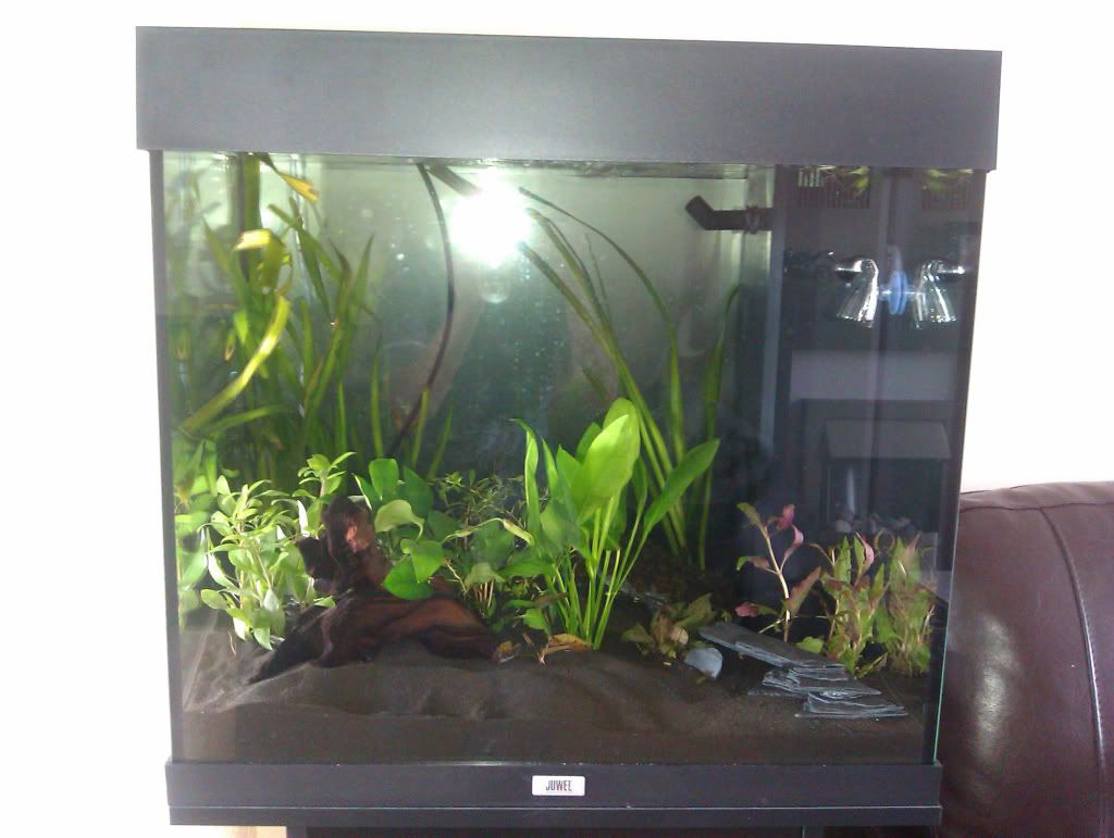 25c4fc01.jpg