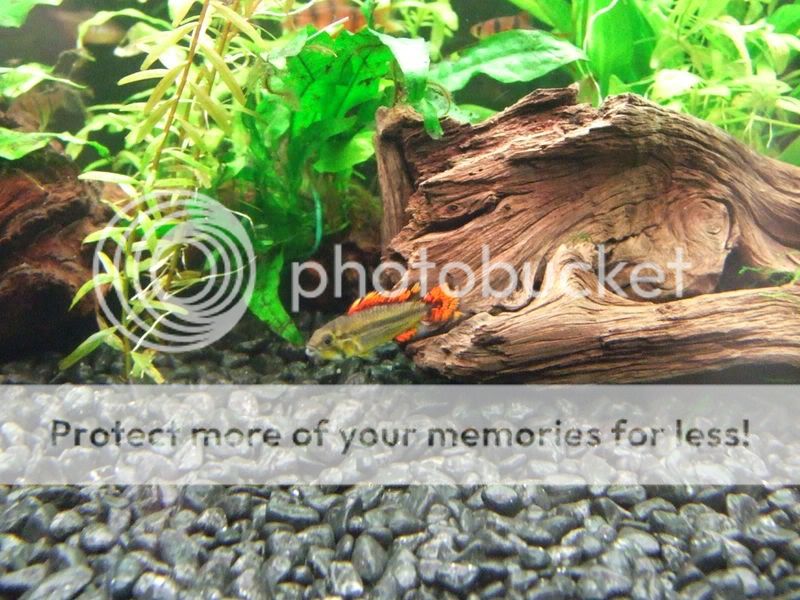 DSCF2949.jpg