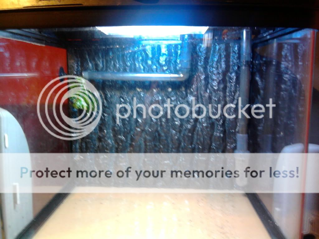 3filter.jpg