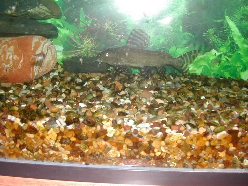 DSCN1421.jpg