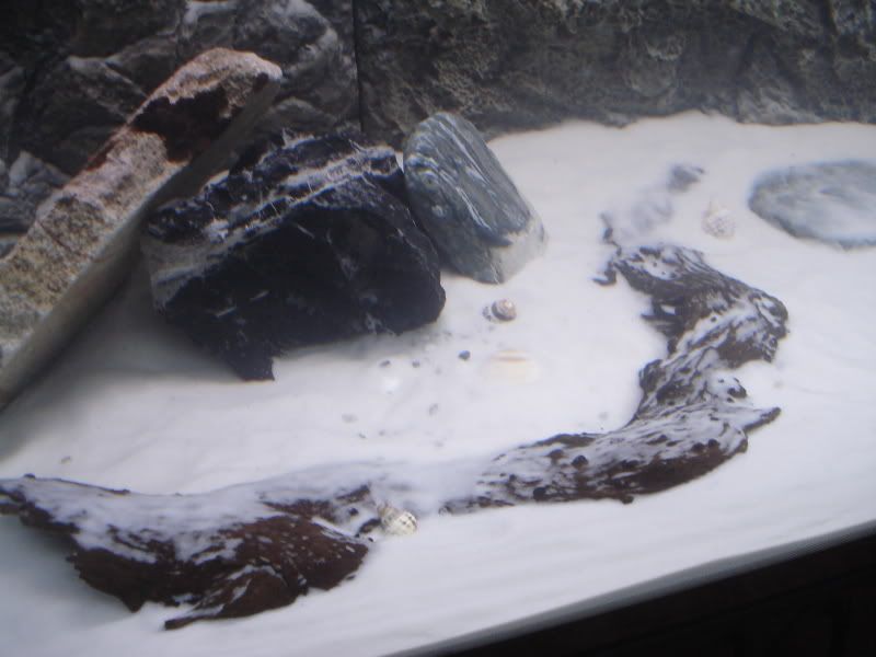 DSC01461.jpg
