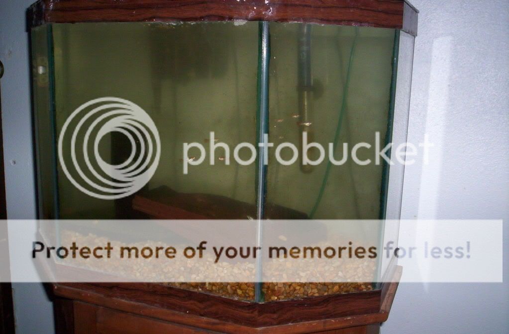 004-10.jpg