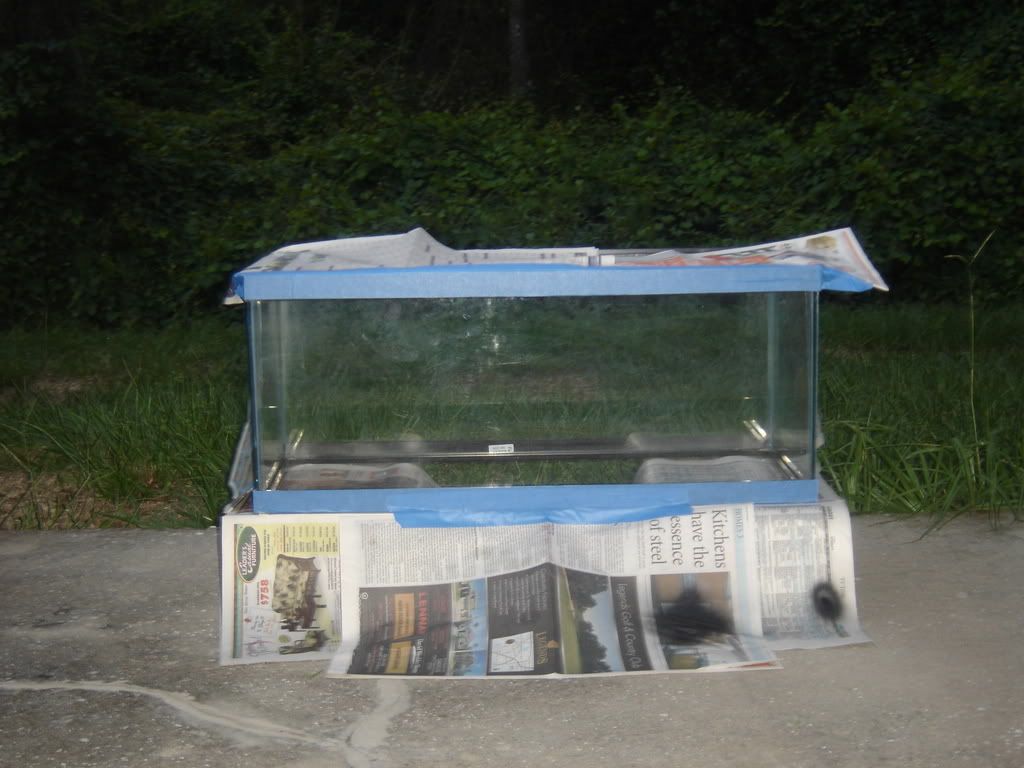 progessof20gallon009.jpg