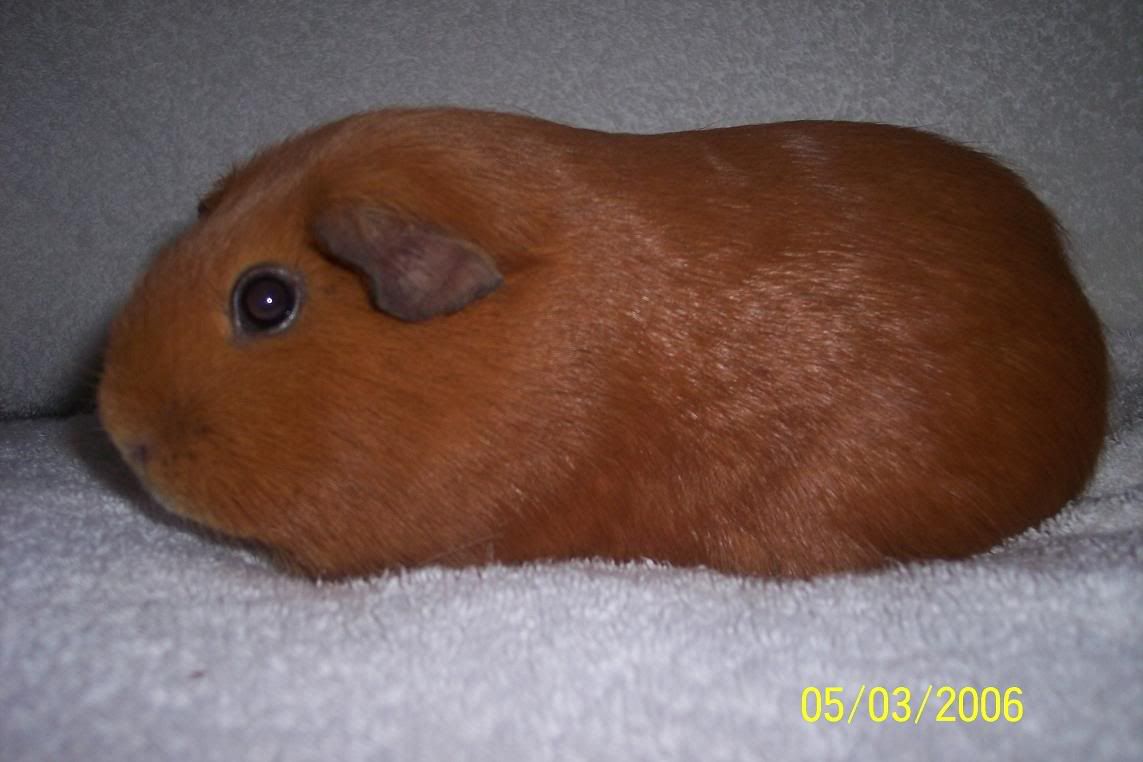 nina10.jpg