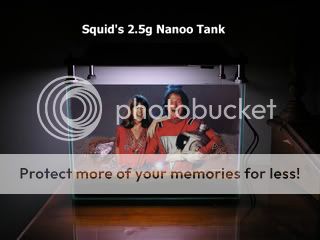 nanoo-1.jpg