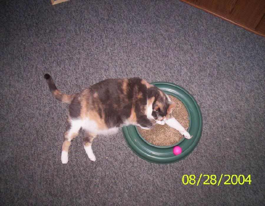 Molly1.jpg