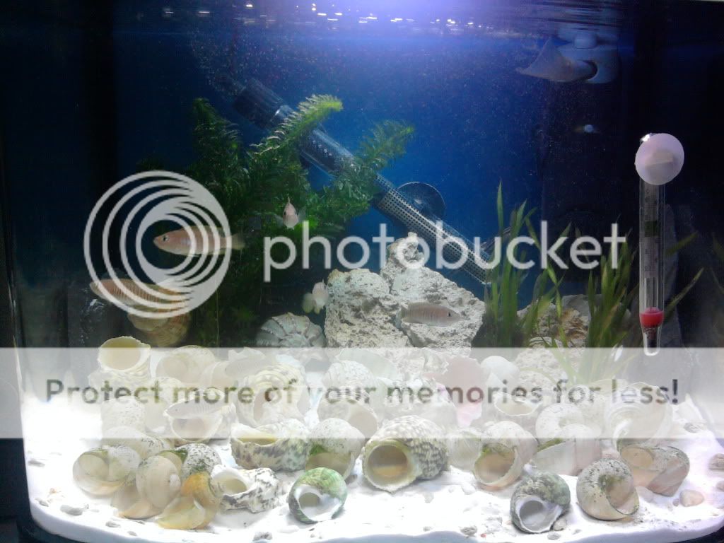 CopyofPhoto0275.jpg
