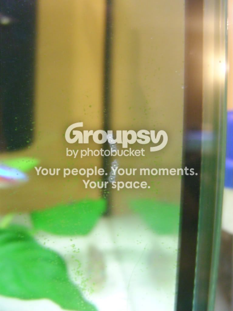 randompics024-1.jpg