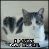 bitemarks.gif